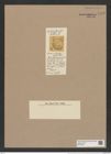 Porodiscus hirsutus Grove et Sturt. (de-Toni-Nr.: Genus 200, Species 4828) Zeichnungen Sammlung Grunow Nr. 8488 (NHMW-BOT-W0377957)